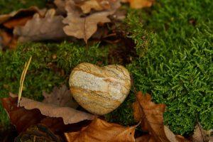 The Irish Ethical Celebrants Society Funeral Ceremonies